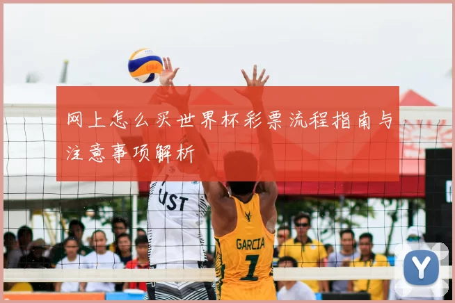 网上怎么买世界杯彩票流程指南与注意事项解析