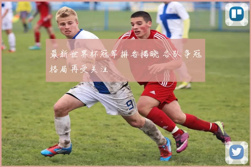最新世界杯冠军排名揭晓 各队争冠格局再受关注