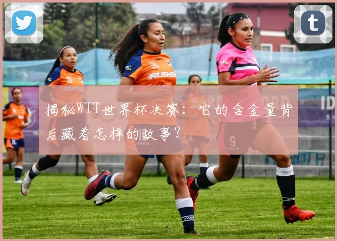揭秘WTT世界杯决赛:它的含金量背后藏着怎样的故事?