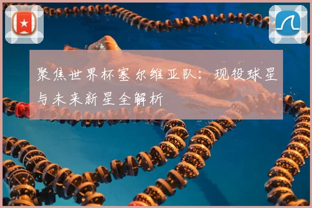聚焦世界杯塞尔维亚队:现役球星与未来新星全解析