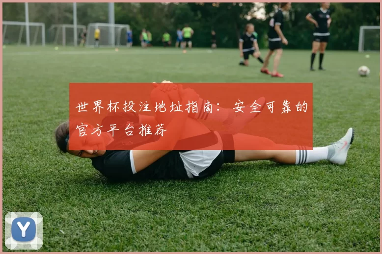 世界杯投注地址指南：安全可靠的官方平台推荐