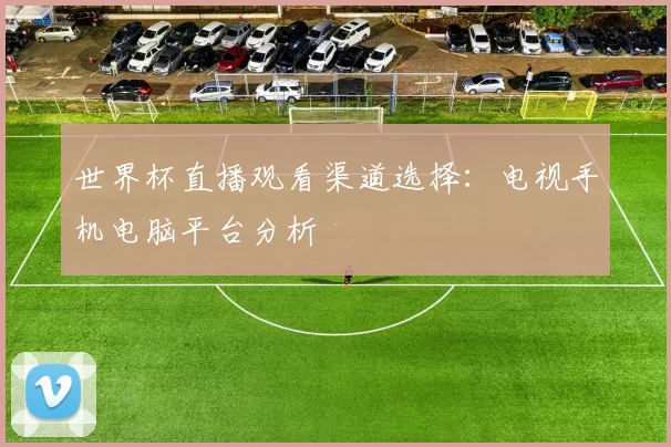 世界杯直播观看渠道选择:电视手机电脑平台分析