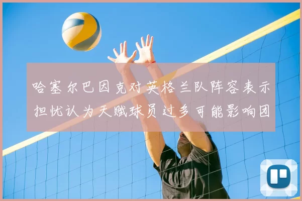 哈塞尔巴因克对英格兰队阵容表示担忧认为天赋球员过多可能影响团队合作