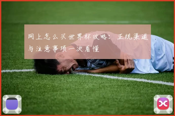 网上怎么买世界杯攻略：正规渠道与注意事项一次看懂