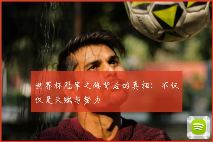 世界杯冠军之路背后的真相:不仅仅是天赋与努力
