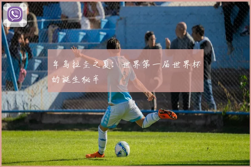 年乌拉圭之夏:世界第一届世界杯的诞生秘辛