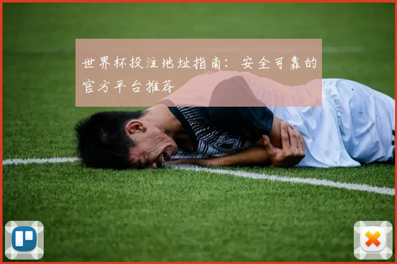 世界杯投注地址指南：安全可靠的官方平台推荐
